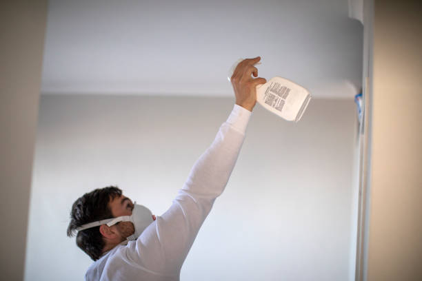 Best White Mold Remediation in Glen Dale, WV