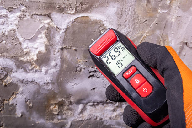 Best Localized Mold Remediation (e.g., coastal areas, humid climates) in Glen Dale, WV